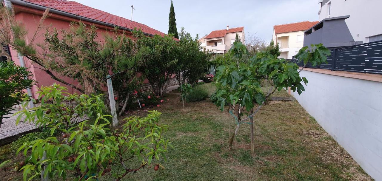 Mediterranean House 50M From The Sea Hoek van Holland Ngoại thất bức ảnh